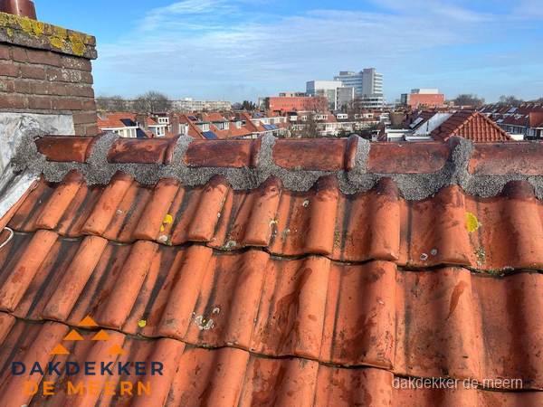 Pannendak met nokvorst en schoorsteen, dakrenovatie in De Meern Pannendak met nokvorst en schoorsteen, dakrenovatie in De Meern