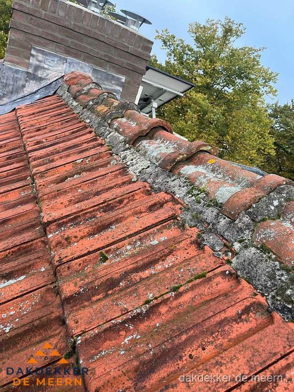 Verweerd hellend dak met mosgroei op nokvorst in De Meern Verweerd hellend dak met mosgroei op nokvorst in De Meern