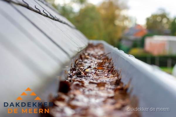 Verstopte dakgoot met bladeren schoonmaken in De Meern Verstopte dakgoot met bladeren schoonmaken in De Meern