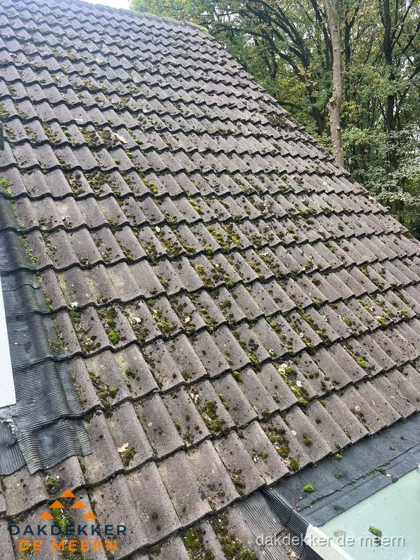 Verweerd pannendak met mosgroei dat renovatie nodig heeft in De Meern Verweerd pannendak met mosgroei dat renovatie nodig heeft in De Meern